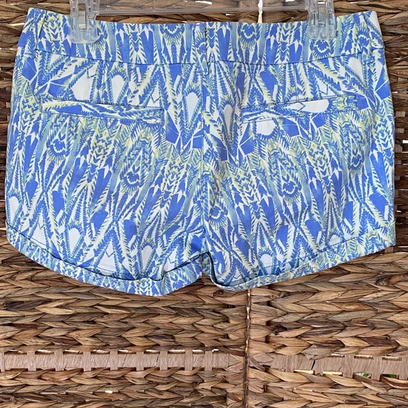 American Eagle Shorts - Picture 3 of 4